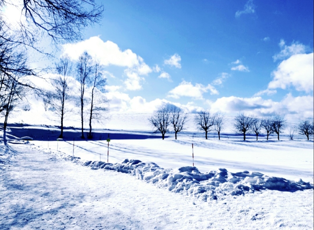 오타루&노보리베츠&도야&후라노&비에이&삿포로 4일(TW항공) 하얀 설경 속 힐링도시, 삿포로 겨울여행~! 대구플라이트